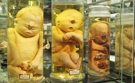 7 viện bảo tàng kỳ quái